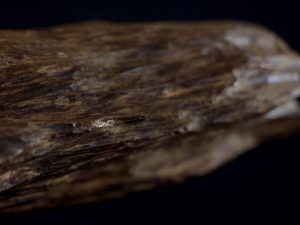 Mùi hương từ ghỗ