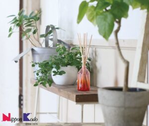 Giảm nhiệt cơ thể