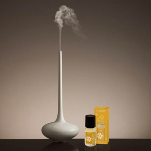 Tinh dầu Esteban - amber